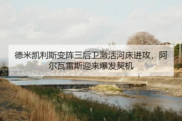 de-mi-kai-li-si-bian-zhen-san-hou-wei-ji-huo-he-chuang-jin-gong-a-er-wa-lei-si-ying-lai-bao-fa-qi-ji-2-730.jpg